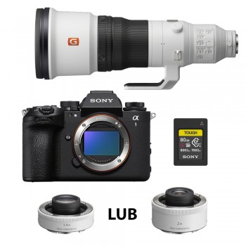 Zestaw do fotografii przyrodniczej - Sony A1 II + 600/4 FE GM