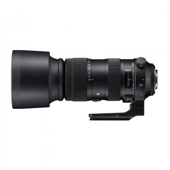 Sigma 60-600/4.5-6.3 DG OS HSM Sport (Canon)