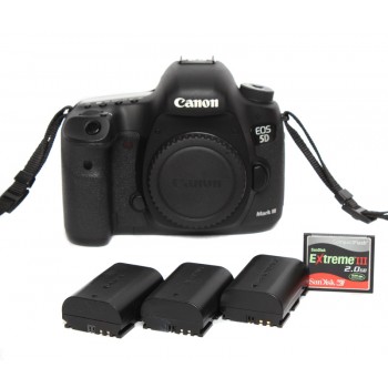 Canon EOS 5D Mark III (12100 zdj.)